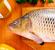 Рыба при панкреатите: рецепты блюд из нежирных сортов