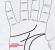 الخط المتحرك على اليد: نظرة عامة على خصائصه الرئيسية أي الخطوط الموجودة على اليد تشير إلى الحركة